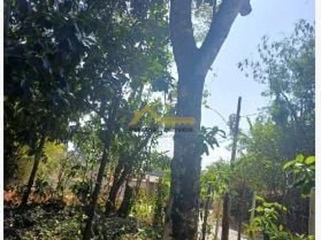 Terreno venda em São Sebastião, Região Geográfica Intermediária de São José dos Campos