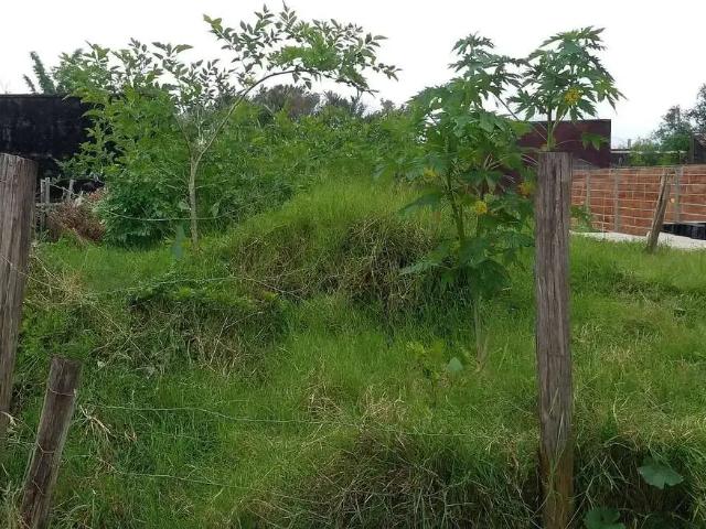 Terreno venda em Região Imediata de Caraguatatuba-Ubatuba-São Sebastião, Região Metropolitana do Vale do Paraíba e Litoral Norte