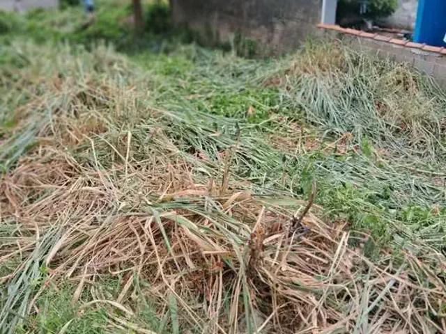 Terreno venda em Região Imediata de Caraguatatuba-Ubatuba-São Sebastião, Região Metropolitana do Vale do Paraíba e Litoral Norte