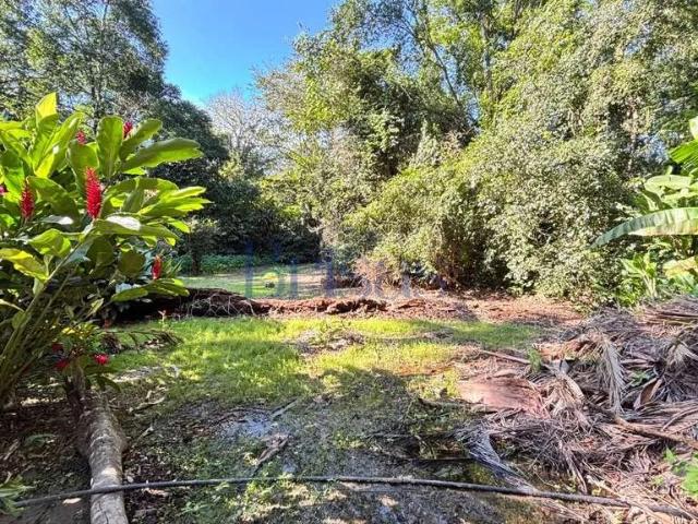 Terreno venda em Maresias, São Sebastião