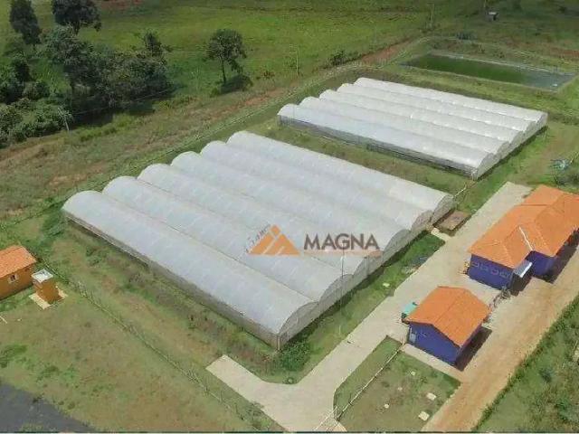 Terreno venda em São Simão