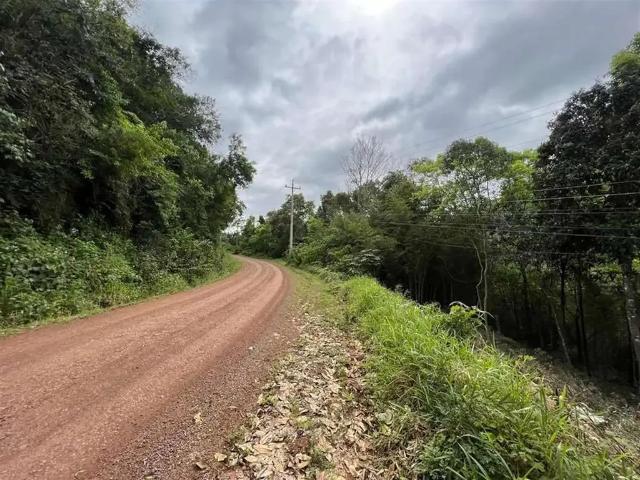 Terreno venda em Região Geográfica Imediata de Bento Gonçalves, São Valentim do Sul