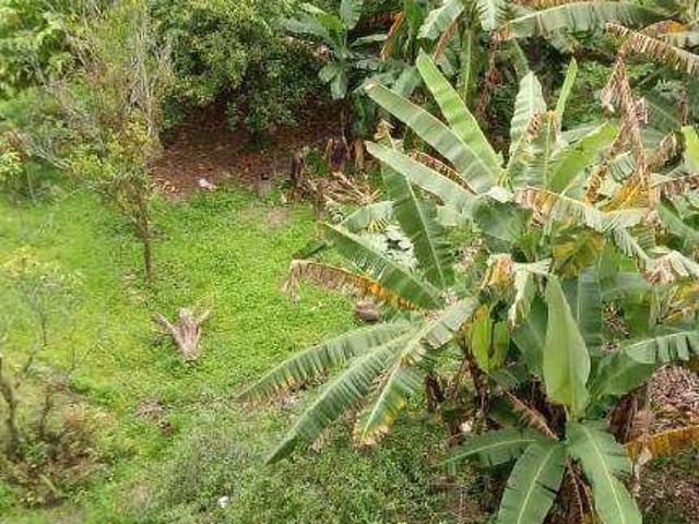 Terreno venda em Região Imediata de Santos, Região Metropolitana da Baixada Santista