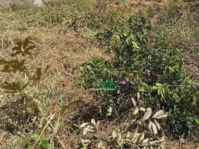 Terreno venda em Região Geográfica Imediata de Belo Horizonte, Região Metropolitana de Belo Horizonte