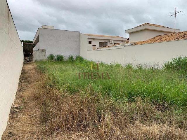 Terreno venda em Saltinho