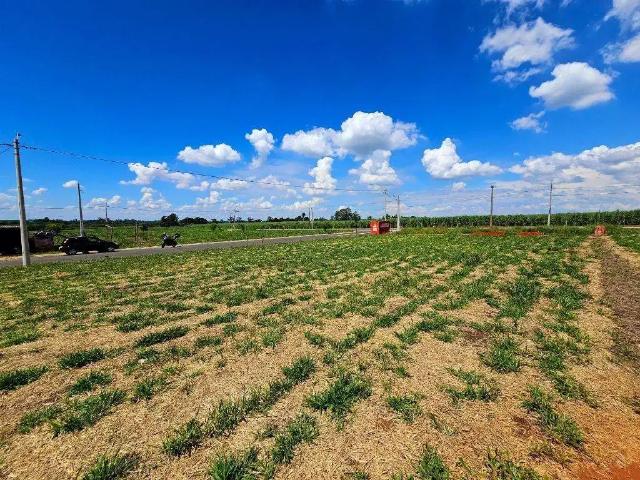 Terreno venda em Região Imediata de Piracicaba, Região Metropolitana de Piracicaba