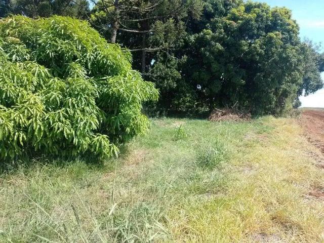 Terreno venda em Saltinho, Região Geográfica Intermediária de Campinas