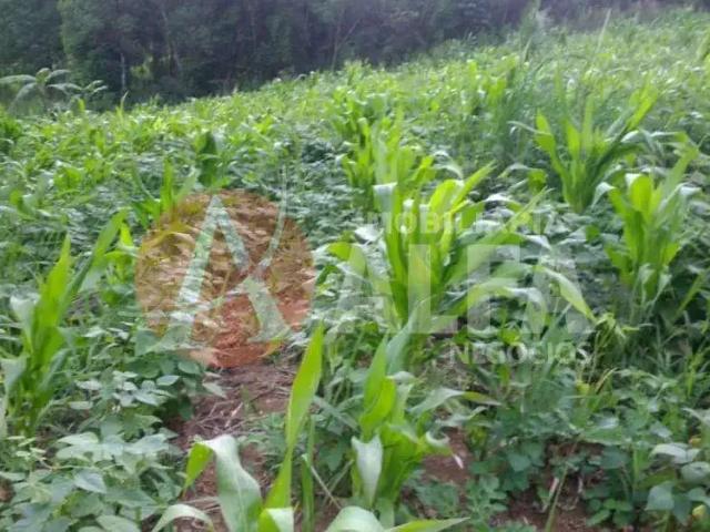 Terreno venda em Região Imediata de Sorocaba, Região Metropolitana de Sorocaba