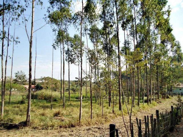 Terreno venda em Região Imediata de Sorocaba, Região Metropolitana de Sorocaba