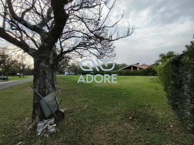 Terreno venda em Santos