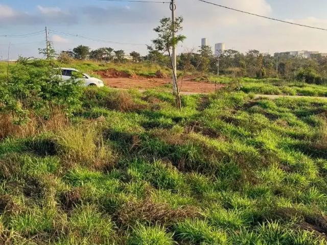 Terreno venda em Monte Alto
