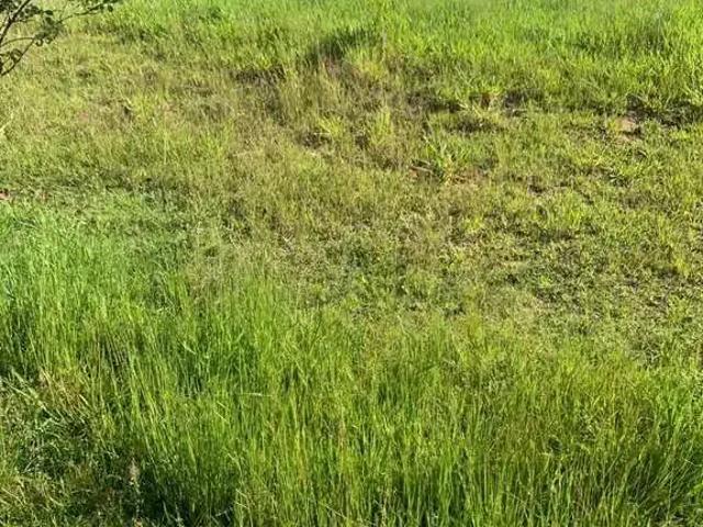 Terreno venda em Região Imediata de Sorocaba, Região Metropolitana de Sorocaba