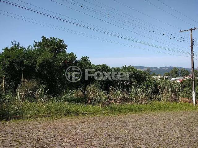 Terreno venda em Região Geográfica Imediata de Montenegro, Salvador do Sul