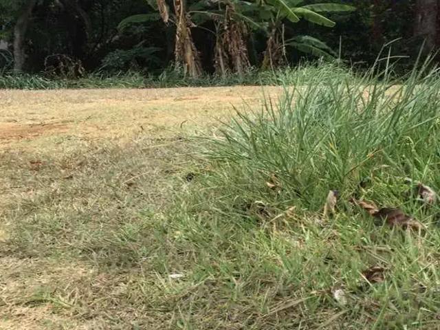 Terreno venda em Região Geográfica Imediata de Salvador, Região Metropolitana de Salvador