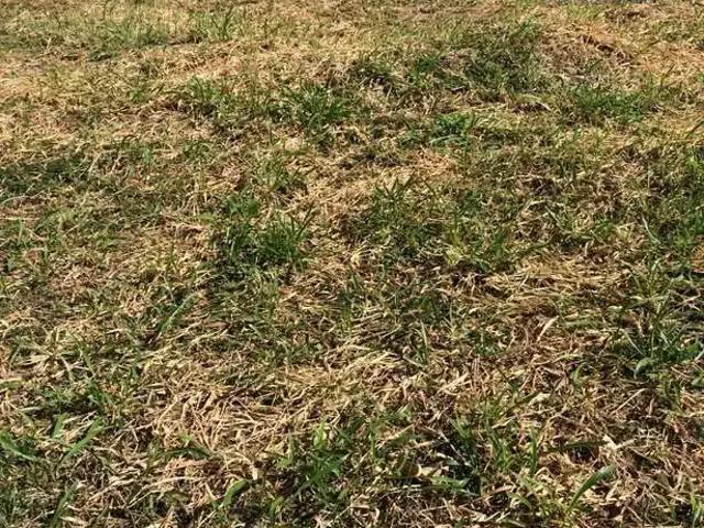 Terreno venda em Região Geográfica Imediata de Salvador, Região Metropolitana de Salvador