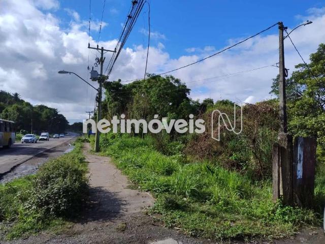 Terreno venda em Região Geográfica Imediata de Salvador, Região Metropolitana de Salvador