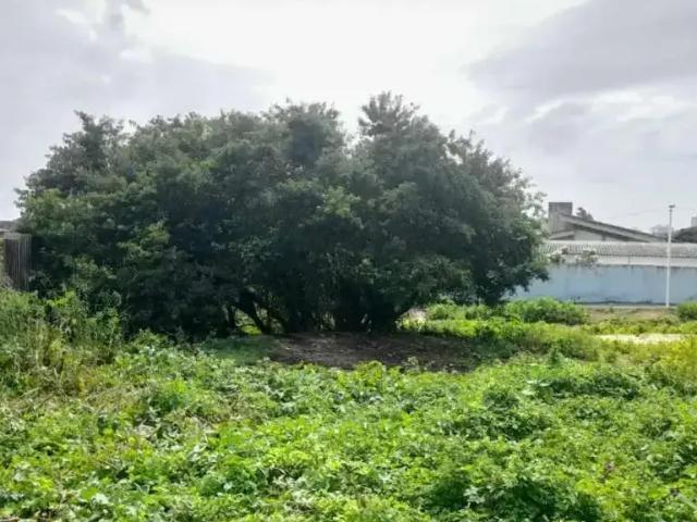 Terreno venda em Região Geográfica Imediata de Salvador, Região Metropolitana de Salvador