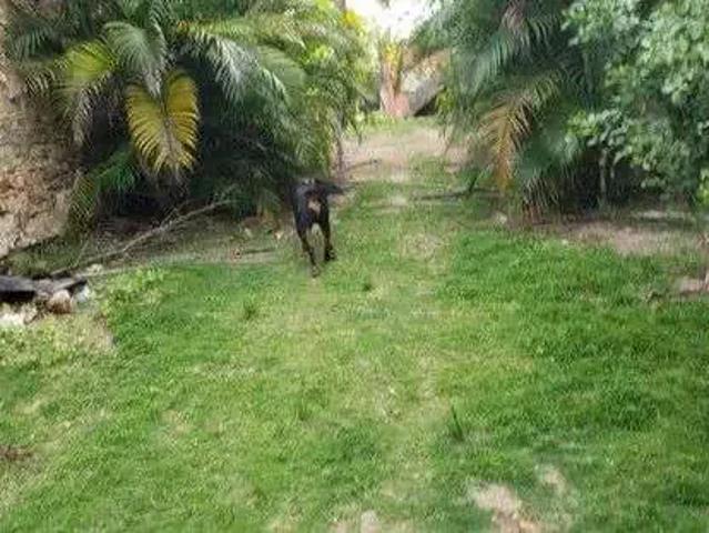 Terreno venda em Região Geográfica Imediata de Salvador, Região Metropolitana de Salvador
