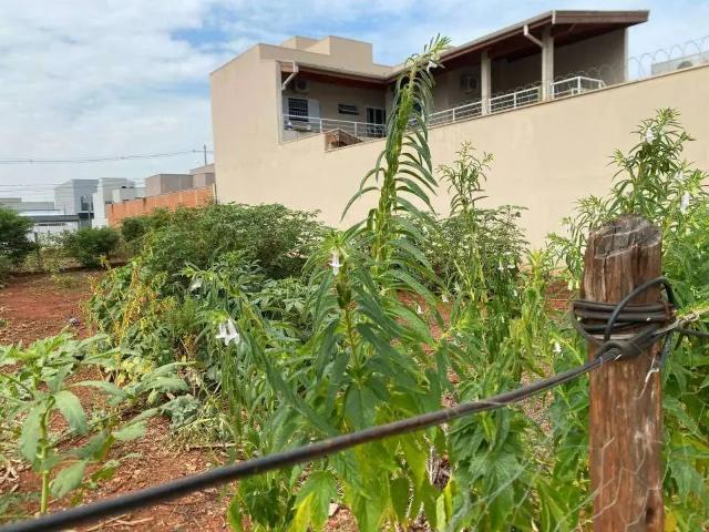 Terreno venda em Região Imediata de Campinas, Região Metropolitana de Campinas