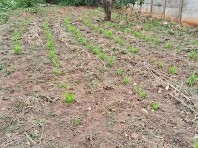 Terreno venda em Região Imediata de Campinas, Região Metropolitana de Campinas