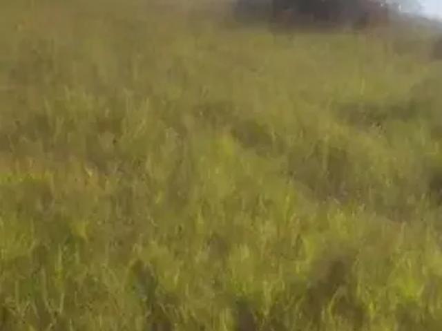 Terreno venda em Região Imediata de São José dos Campos, Região Metropolitana do Vale do Paraíba e Litoral Norte