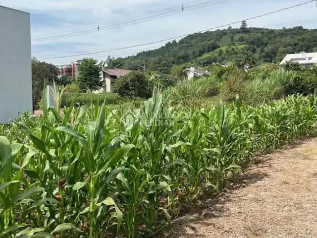 Terreno venda em Região Geográfica Imediata de Lajeado, Santa Clara do Sul
