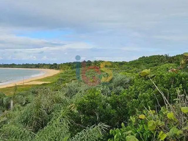 Terreno venda em Região Geográfica Imediata de Eunápolis - Porto Seguro, Eunápolis