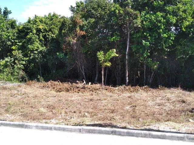 Terreno venda em Região Geográfica Imediata de Eunápolis - Porto Seguro, Santa Cruz Cabrália