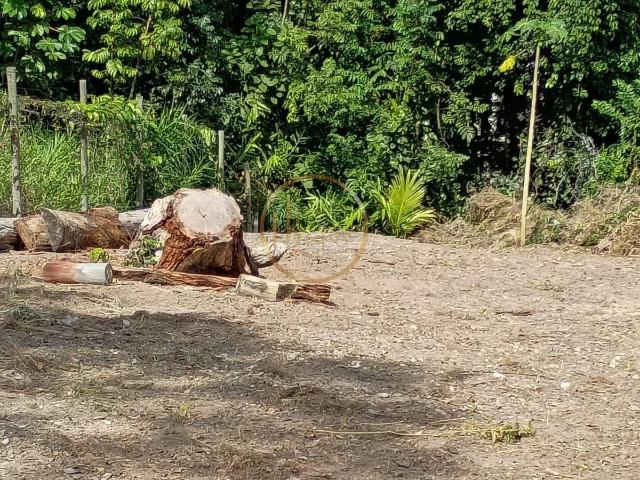 Terreno venda em Região Geográfica Imediata de Eunápolis - Porto Seguro, Santa Cruz Cabrália