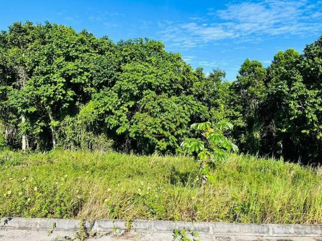 Terreno venda em Região Geográfica Imediata de Eunápolis - Porto Seguro, Santa Cruz Cabrália