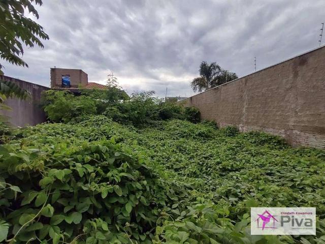 Terreno venda em Santa Cruz da Conceição, Região Geográfica Intermediária de Campinas