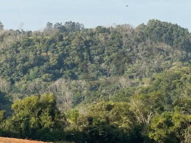 Terreno venda em Região Geográfica Imediata de Santa Cruz do Sul, Santa Cruz do Sul
