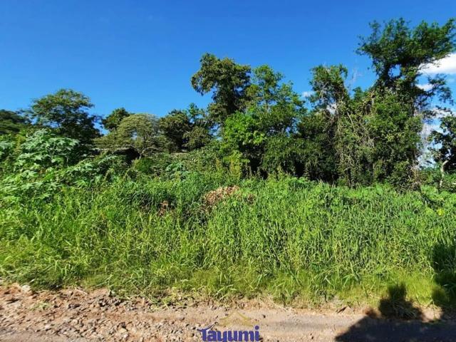 Terreno venda em Sede Municipal, Santa Cruz do Sul
