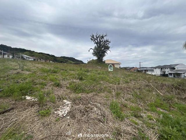 Terreno venda em Sede Municipal, Santa Cruz do Sul