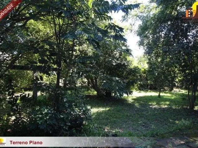 Terreno venda em Região Geográfica Imediata de Santa Cruz do Sul, Santa Cruz do Sul