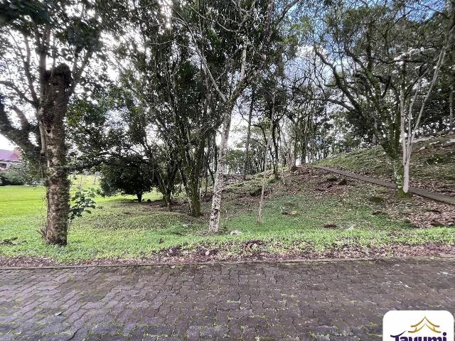 Terreno venda em Santa Cruz do Sul, Região Geográfica Intermediária de Santa Cruz do Sul - Lajeado