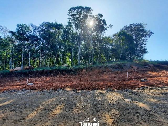Terreno venda em Sede Municipal, Santa Cruz do Sul