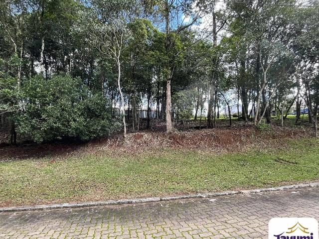 Terreno venda em Loteamento Green Village, Santa Cruz do Sul