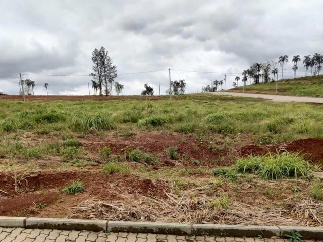 Terreno venda em Sede Municipal, Santa Cruz do Sul