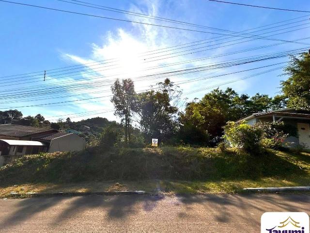 Terreno venda em Sede Municipal, Santa Cruz do Sul
