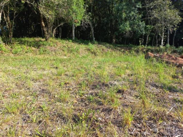 Terreno venda em Santa Cruz do Sul, Região Geográfica Intermediária de Santa Cruz do Sul - Lajeado