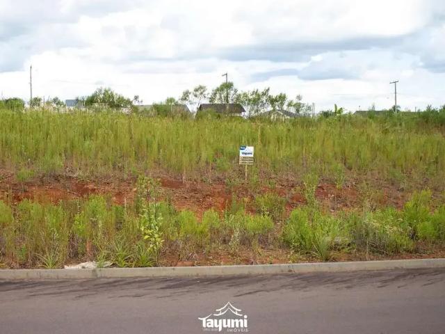 Terreno venda em Região Geográfica Imediata de Santa Cruz do Sul, Santa Cruz do Sul