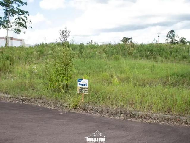 Terreno venda em Região Geográfica Imediata de Santa Cruz do Sul, Santa Cruz do Sul