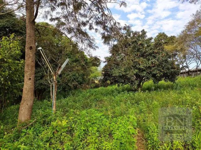 Terreno venda em Região Geográfica Imediata de Santa Cruz do Sul, Santa Cruz do Sul