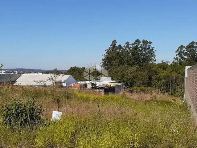 Terreno venda em Região Geográfica Imediata de Santa Cruz do Sul, Santa Cruz do Sul