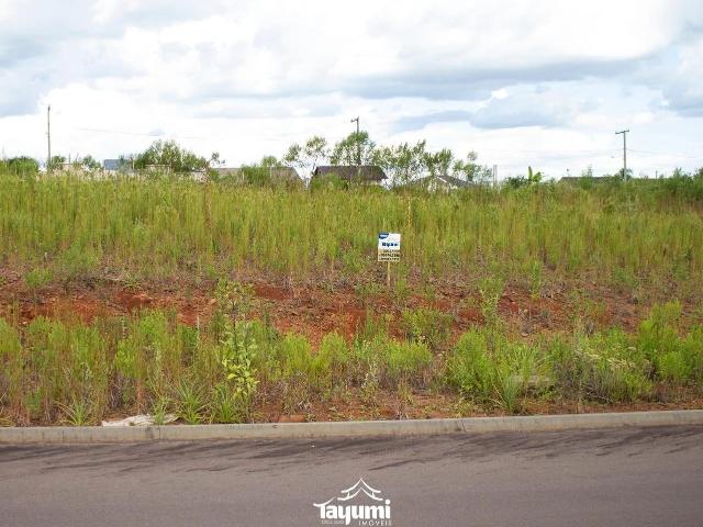 Terreno venda em Sede Municipal, Santa Cruz do Sul
