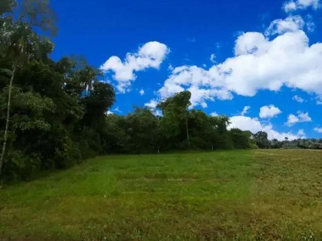 Terreno venda em Região Geográfica Imediata de Santa Cruz do Sul, Santa Cruz do Sul