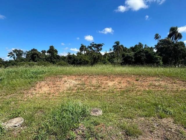 Terreno venda em Sede Municipal, Santa Cruz do Sul
