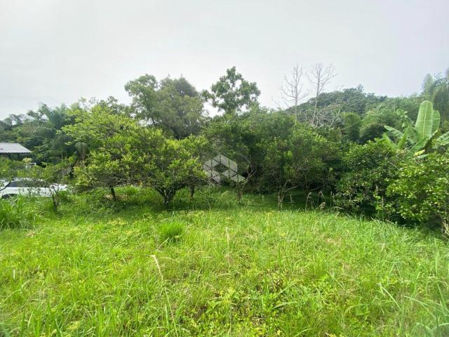 Terreno venda em Sede Municipal, Santa Cruz do Sul