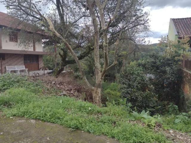 Terreno venda em Região Geográfica Imediata de Santa Cruz do Sul, Santa Cruz do Sul